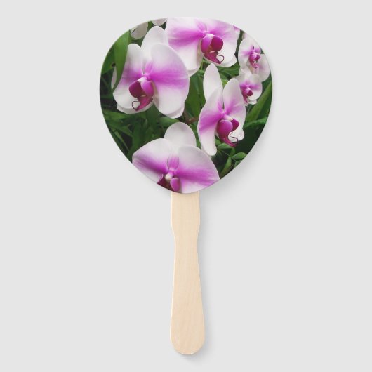 ファンユニークにピンクの赤面がある白いラン ハンドファン (正面)