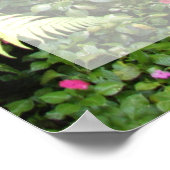 ファン4:13コンカスカダ ポスター (角)