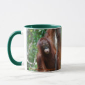 ファン・クラブのKristaの公式のオランウータン マグカップ (左)