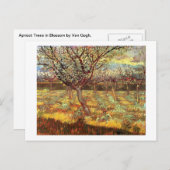 ファン・ゴッホの花のアプリコットの木 ポストカード (正面/裏面)