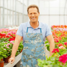 ファン・ゴッホ・アートのアーモンド・ブロッサム