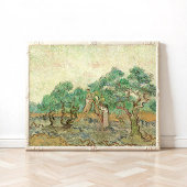 ファン・ゴッホ・オリーブ狩りの女性 ポスター