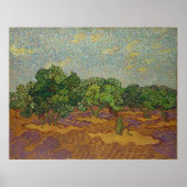 ファン・ゴッホ・オリーブ ポスター (正面)