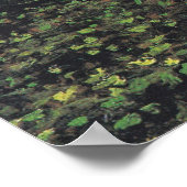 ファン・ゴッホ・ポスター ポスター (角)