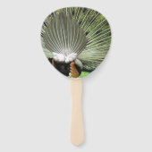 ファン – 孔雀 (裏面)