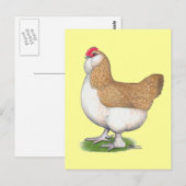 ファヴェロール雌鳥 ポストカード (正面/裏面)