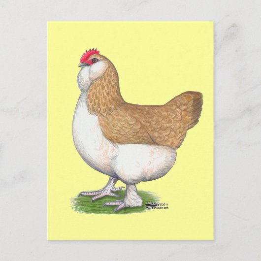 ファヴェロール雌鳥 ポストカード (正面)