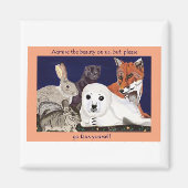 ファーは疑問に思衣服磁石だ マグネット (正面)