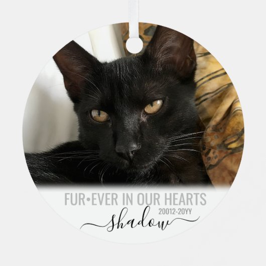 ファーエバーの私たちのハートペット記念碑 メタルオーナメント (裏面)