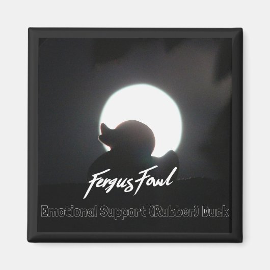 ファーガスフォールES(R)Dマグネット マグネット (正面)