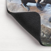 ファーシールのグループ マウスパッド (コーナー)