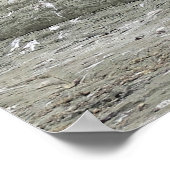 ファーシールファミリ ポスター (角)