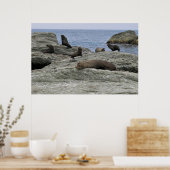 ファーシールファミリ ポスター (キッチン)