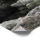 ファーシール集団 ポスター (角)