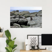 ファーシール集団 ポスター (ホームオフィス)