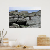 ファーシール集団 ポスター (キッチン)