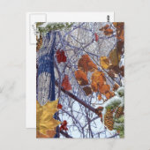 ファーストスノーウィンターカモフラージュプリント ポストカード (正面/裏面)