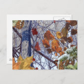 ファーストスノーウィンターフォレスト迷彩柄プリント ポストカード (正面/裏面)