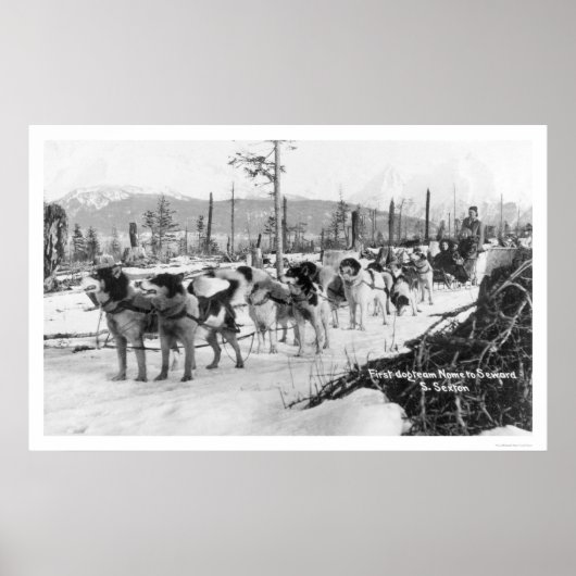 ファーストドッグチームアラスカ1910 ポスター (正面)