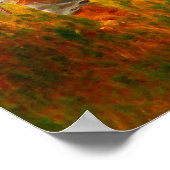 ファーストハント ポスター (角)