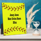 ファーストピッチソフトボールの歯垢 フォトプラーク (側面)