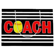 ファーストピッチソフトボールカスタムコーチ選手チームカラースポーツ