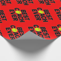 ファーストピッチソフトボールベストコーチエバースポーツパーティー