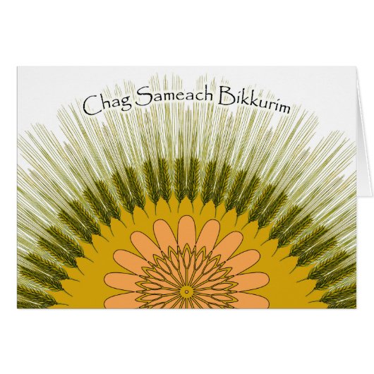 ファーストフルーツヨームハビックリムバーリーサンデザイン (正面横)