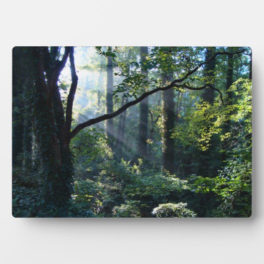 ファーストライトフォトプラーク フォトプラーク (正面)