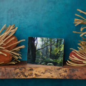 ファーストライトフォトプラーク フォトプラーク (側面)