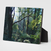 ファーストライトフォトプラーク フォトプラーク (側面)