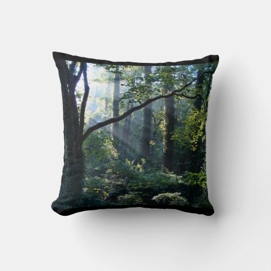 ファーストライト枕 クッション (正面)