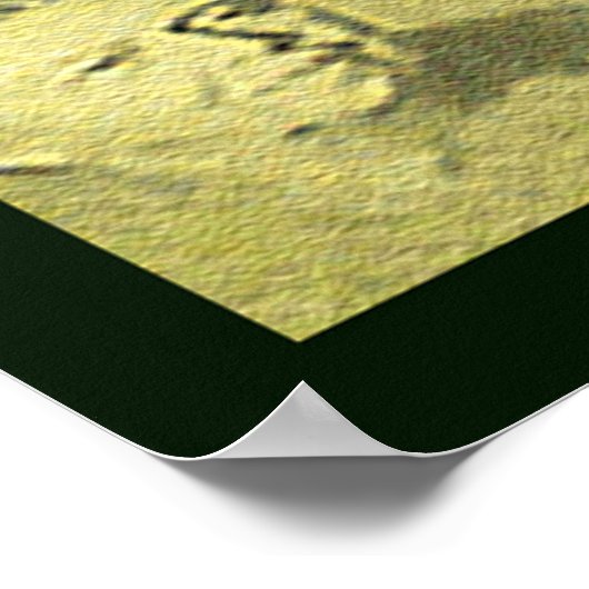 ファーストレディアンナエレノールルーズベルト ポスター (角)