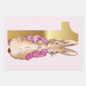 ファースト誕生日ピーターザラビットピンクジャケット ラッピングペーパーシート (正面3)