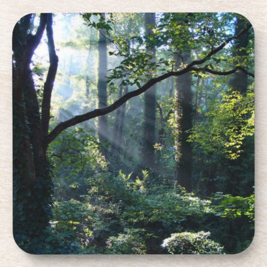 ファースト・ライト・コルク・コースター コースター (正面)