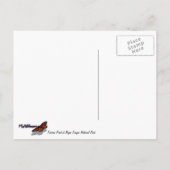 ファービューポイントアットブライスキャニオン国立公園 ポストカード (裏面)