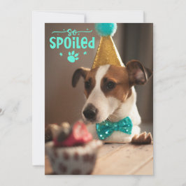 ファーフレンドのための犬の誕生日パーティーの招待 シーズンカード