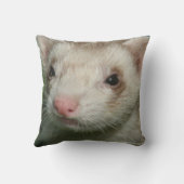 ファーベビーのかわいい顔オブアフェレット クッション (裏面)