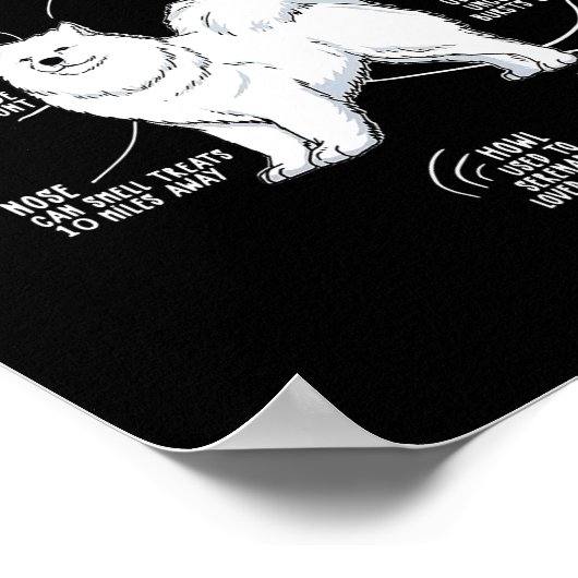 ファーママパパが犬を愛するサモイドの解剖学 ポスター (角)