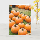 ファーマーズマーケットで売るカボチャ カード (黄色い花)