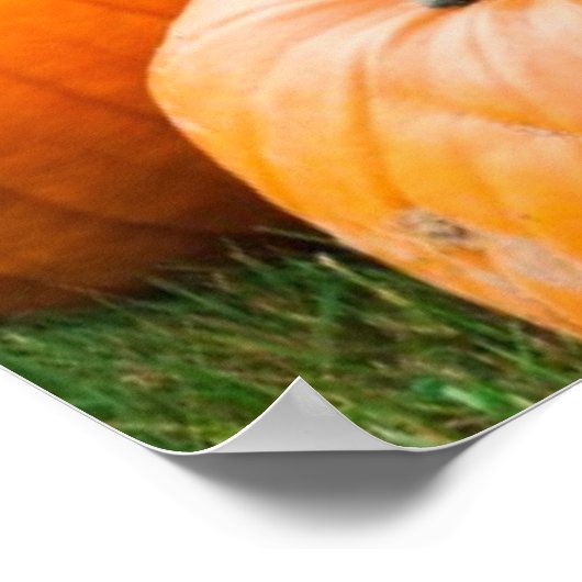 ファーマーズマーケットで売るカボチャ ポスター (角)