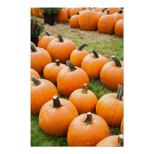 ファーマーズマーケットで売るカボチャ ポスター (正面)