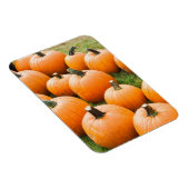 ファーマーズマーケットで売るカボチャ マグネット (右側)