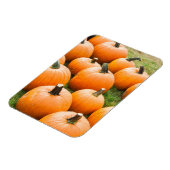 ファーマーズマーケットで売るカボチャ マグネット (左側)