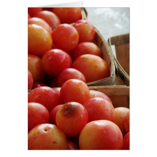 ファーマーズマーケットで生産する (正面)