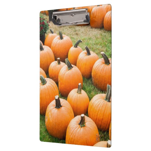 ファーマーズマーケットの販売のためのカボチャ クリップボード (左)