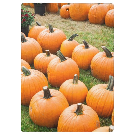 ファーマーズマーケットの販売のためのカボチャ クリップボード (裏面)