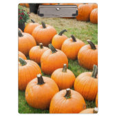 ファーマーズマーケットの販売のためのカボチャ クリップボード (正面)