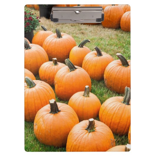 ファーマーズマーケットの販売のためのカボチャ クリップボード (正面)