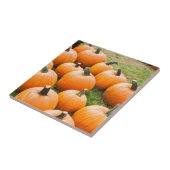 ファーマーズマーケットの販売のためのカボチャ タイル (側面)
